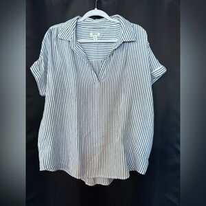 Style & Co White and Blue Button Down Shirt